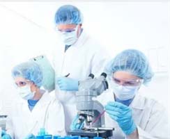 Quercetin Covid 19